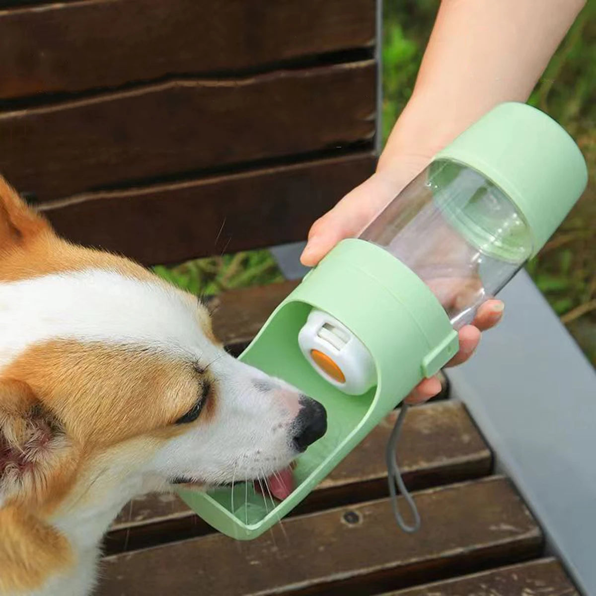 MUTTLY™ 3 in 1 Water Bottle v2